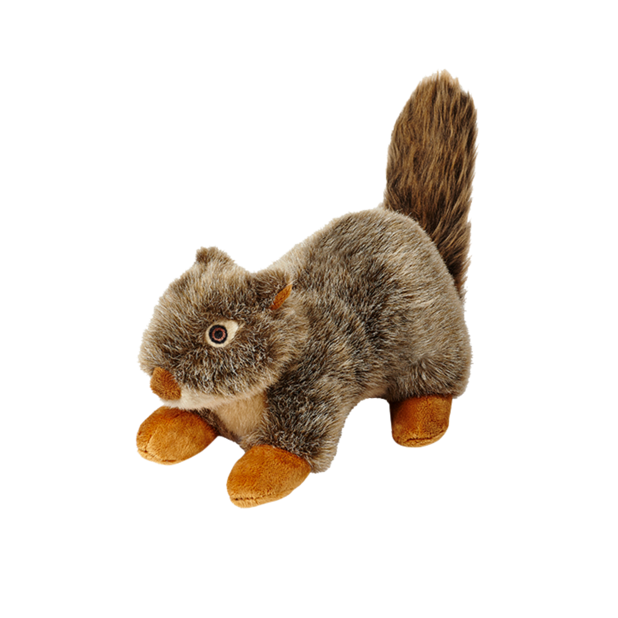 Nuts Squirrel