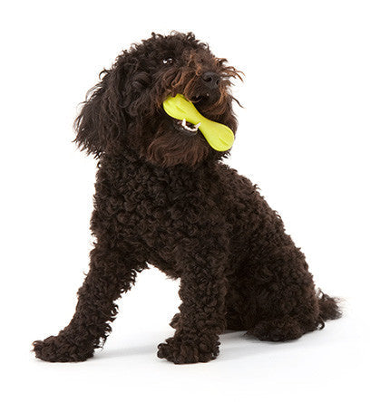 Zogoflex Hurley