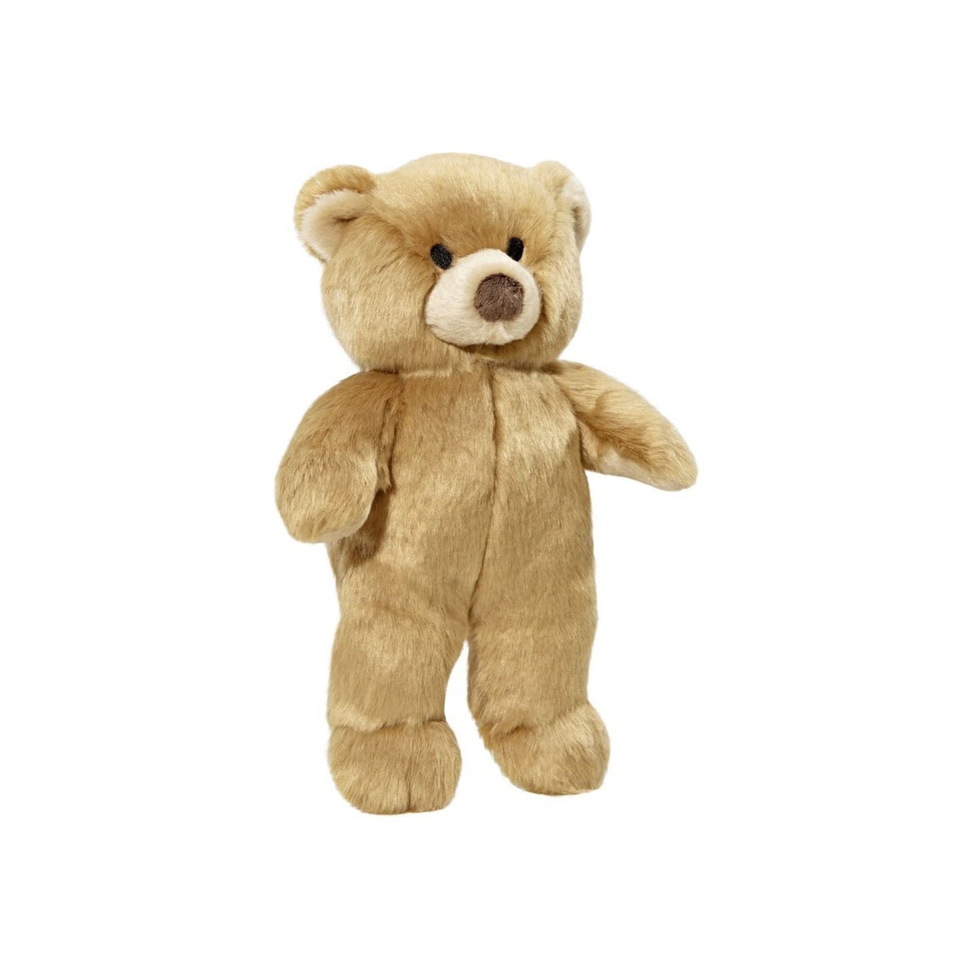 Mr. Honey Bear